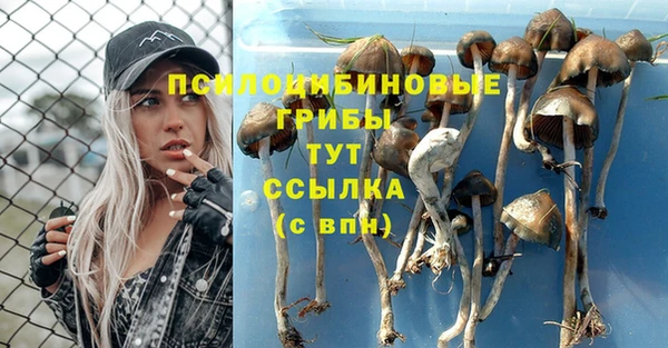 дмт Козельск
