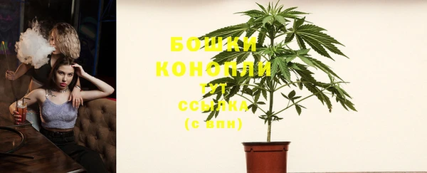 прущий лед Козловка