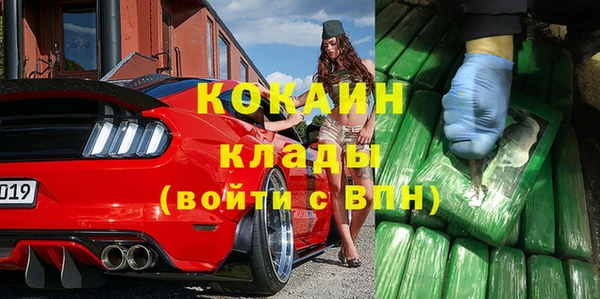 дмт Козельск