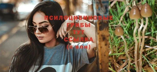 прущий лед Козловка