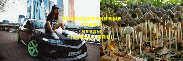 МДПВ Кодинск